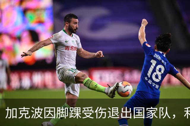 加克波因脚踝受伤退出国家队，利物浦忧心其长期缺阵